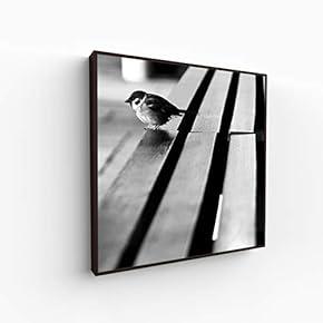 Canvas Wall Art for Living Room, Bedroom Silence Framed Canvas Prints for Home Decoration Ready to Hang - 16x16 inches