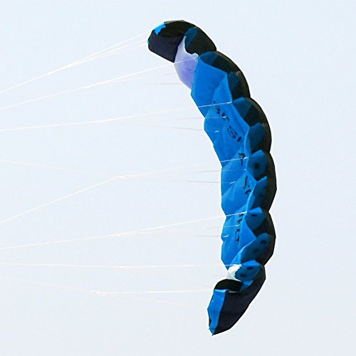 Besra New Arrival Huge 74inch Dual Line Parachute Stunt Kite with Flying Tools 1.9m Power Parafoil Kitesurfing Training kites Outdoor Fun Sports for Beach (74inch Blue)