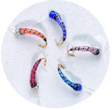 Jenzi Premium Rigs Design H