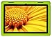 BobjGear Bobj Rugged Tablet Case for Lenovo Tab E10 (TB-X104F) Kid Friendly (Gotcha Green)