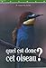 Quel est donc cet oiseau? by