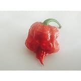 Carolina Reaper Chili Peppers Whole Fresh and Organic World's Hottest Chili Pepper 5 +1 Free