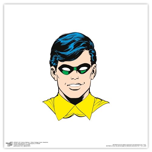 Trends International Gallery Pops DC Comics Batman - Robin Vintage Comic Headsh…