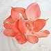 Lily Garden Mini 15