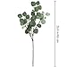 Supla 3 Pcs Faux Eucalyptus Leaves Spray Artificial Seeded Silver Dollar Eucalyptus Leaves Branches in Grey Green 25.5