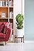 Mkono Plant Stand Mid Century Wood Flower Pot Holder (Plant Pot NOT Included) Modern Potted Stand Indoor Display Rack Rustic Decor, Up to 14 Inch Planter, Brown