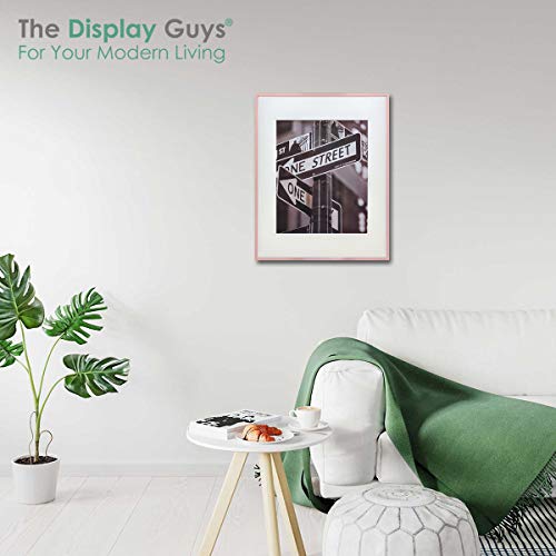 TheDisplayGuys Contemporary Aluminum Picture Frame Tempered Glass