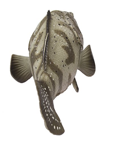 Safari Ltd. Goliath Grouper