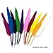 DADITU Feather Pen Multiple Feather Colors Fashion ballpoint Pen Original Feather Goose Stationery Pen Feather Quill Ballpoint Pen Purple Retro Feather Quill Ball Pen Mixed Color 10PCS 10 Colors
