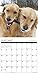 2016 Golden Rules Wall Calendar