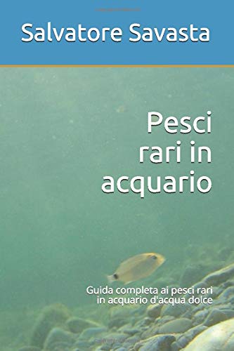 Acquario 60 Litri Tropicale Acqua Dolce Youtube