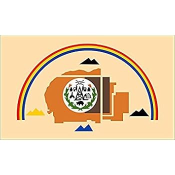 Indian Chief Skull Native American Headdress Bumper Vinyl Sticker Decal 4\"X5\" S3