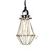 Rustic State Elegant Design Metal Wire Cage by Artifact Design for DIY Lighting Fixtures and Wall Pendant Lamps with Adjustable Cage Openings in Gold