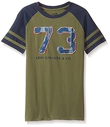 Levi's Boys' Big Graphic T-Shirt, Olivine, S