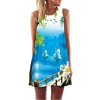 Fvjikne Women Dress Sleeveless Casual Summer Sundress O Neck White Chiffon Dresses Multi L