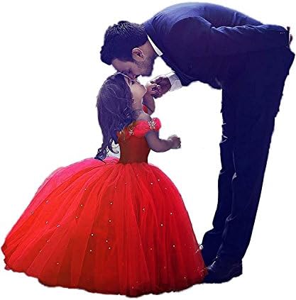 AWEIDA Cinderella Flower Girls Dress Long Toddler Kids Pageant Ball Gown AD004
