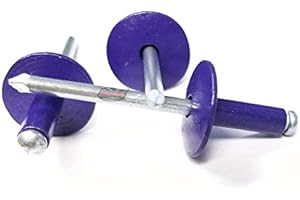 Racer's Speed Shop Purple 3/16" Rivet Large Flange Aluminum Head Steel Mandrel Blind Pop Rivets 250 pk