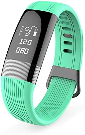 LPY-USB Heart Rate Watch,ECG, Blood Pressure, Blood Oxygen Monitoring,IP67 Fitness/Activity Tracker Wristband for Android & iOS Smartphone