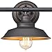 Westinghouse 6344900 Iron Hill Three-Light Indoor Wall Fixture, 3, Oil Rubbed Bronze