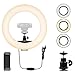 Webcam Light, Ring Light for Logitech Webcam C920,C922x,C930e,Brio 4K,C925e,C922,C930,C615 1/4'' Screw Hole- 12'' Light