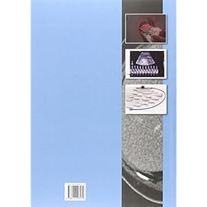 TÚcnicas de tomografÝa computarizada y ecografÝa