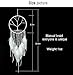 Proboths Feather Hanging Decor, Exquisite Manual Dream Catcher Luminous Feather Hanging Ornament for Wall and Car