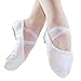 Danzcue Adult Canvas/Leather Ballet Shoes Split Sole Ballet Slippers for Women Dance Shoes, White, 11M
