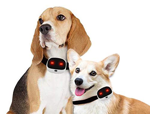 Pet Control HQ 4G Dog GPS Tracker Collar Device Attachment & Pet Activity Monitor for Dogs, Cats |Virtual Leash| Lightweight & Waterproof |No subscription Fee |Geo-Fence Smart App for iPhone & Android