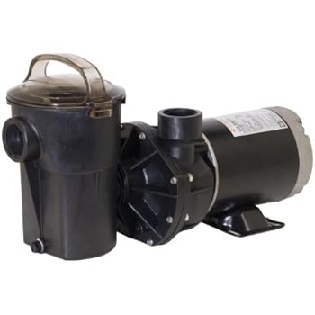 Amazon.com : Hayward SP1580X15 Power-Flo LX Series 1-1/2