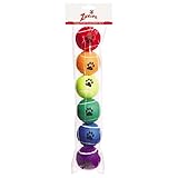 Zanies Puppy Pride Tennis Balls for Dogs, 6-Pack – 2.5-Inch Diameter Tennis Balls Match the Rainbow Pride Flag Colors