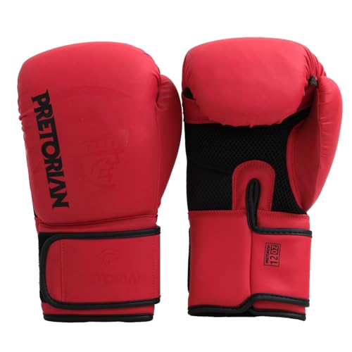 Luva de Boxe e Muay Thai FX2 Pretorian + Protetor Bucal + Bandagem 2.8M
