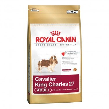 royal canin king charles cavalier puppy