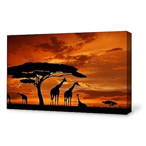 for Living Room Bedroom Home Artwork Paintings Charming Sunset