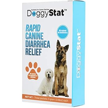 Medicine Hat Express Inc Usdot 1013770 Lethbridge