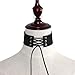 DETALLAN Fashion Women Lace Up Gothic Punk Choker Vintage Velvet Leather Necklace Jewelry (Black)
