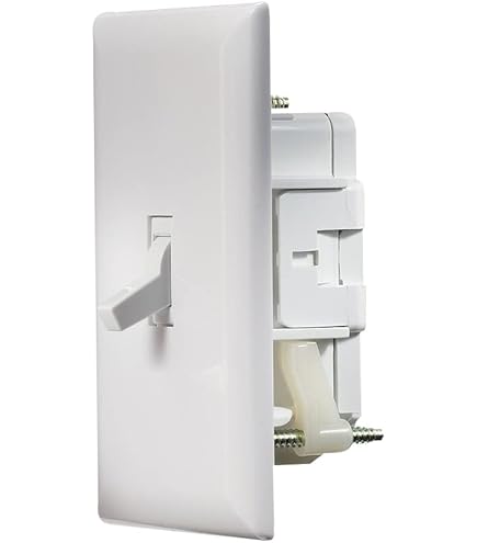switch　ホワイト E-160C Single Conventional Switch White - Amazon.com