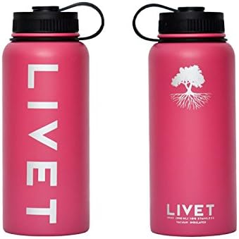 Stainless Steel Powder Coated BPA Free Water Bottle by Livet 32 oz - Pink
