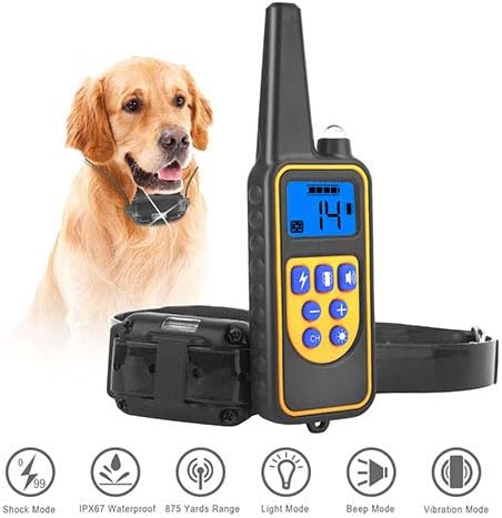 cat tree condo for large cats