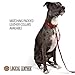 Logical Leather 6 Foot Dog Leash - Best for Training - Heavy Full Grain Leather Lead - Red