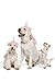 Pink Unicorn Costume For Dogs Pups Mane & Horn Headdress Wig Pet Dress Up Party (Medium, Pink)