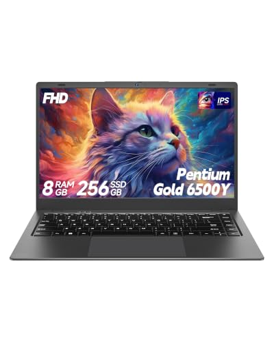 BLUEING 14 Laptop