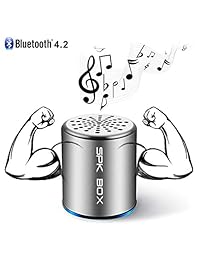 Altavoz Bluetooth, mini altavoz inalámbrico portátil para interiores y exteriores, altavoces estéreo con Bluetooth y graves HD Surround incorporado micrófono funciona con iPhone, iPod, iPad, Samsung, smartphones, tabletas y más, gris