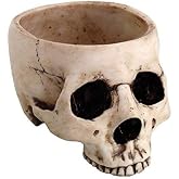 Skeleton Skull Medium Kitchen Bowl Figurine
