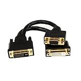 StarTech.com DVI I to DVI D and VGA Splitter, 8in, Wyse Compatible, DVI Video Splitter Cable for Dual Monitor Setup (DVI92030202L)