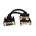 StarTech.com DVI I to DVI D and VGA Splitter, 8in, Wyse Compatible, DVI Video Splitter Cable for Dual Monitor Setup (DVI92030202L) primary