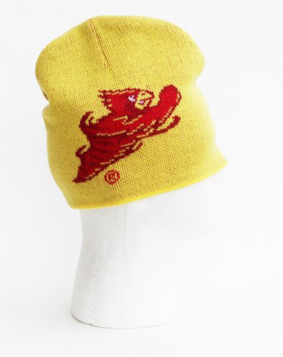 NCAA Iowa State Cyclones Men's Jacquard 