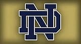 The Last Golden Age: The Lou Holtz Era Of Notre Dame Football History