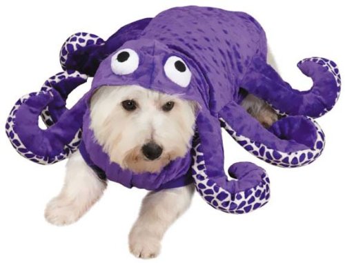 Dog squid costume Clearance