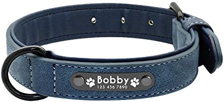 leather dog collar with nameplate australia
