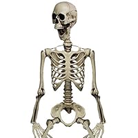 Coedfa Halloween Costume Party Decorations, Halloween Props, Halloween Supplies Halloween Cosplay Halloween Party Decoration Poseable Human Skull Skeleton Anatomical (AS Shown)